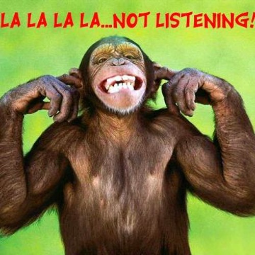 Monkey la la not listening